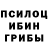 COCAIN Fish Scale Oleksa Ivanytskiy