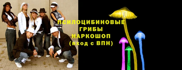 бошки Горнозаводск