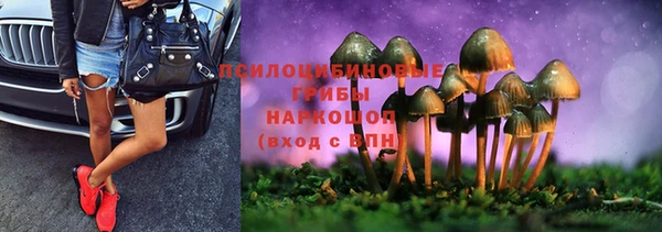 героин Горняк