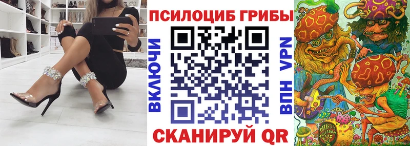 Купить  Болотное  Галлюциногенные грибы Psilocybe 