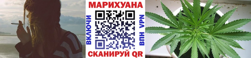 Купить  Болотное  Марихуана SATIVA & INDICA 